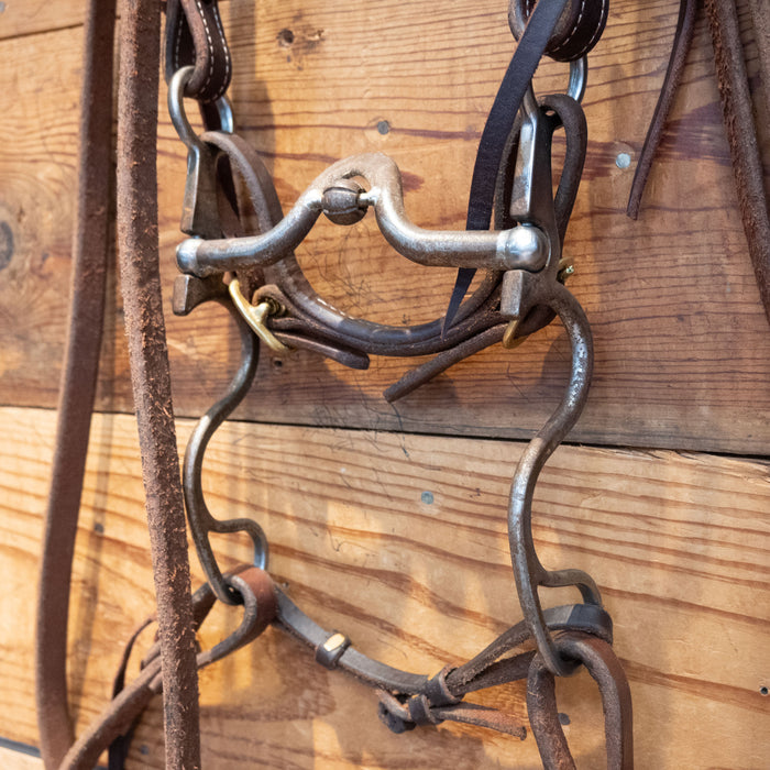 Kerry Kelley Port Bit w/Kamphaus Hardware Bridle Rig