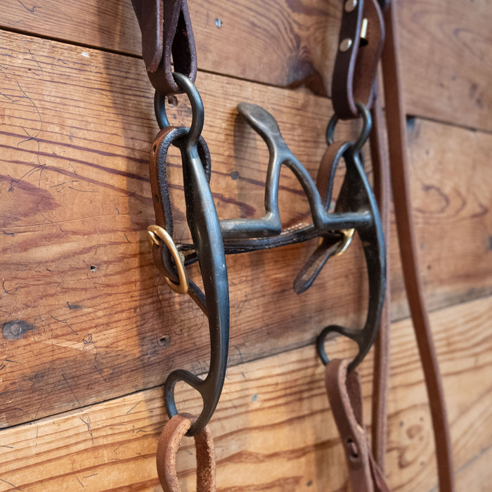 Cathedral Bit Bridle Rig