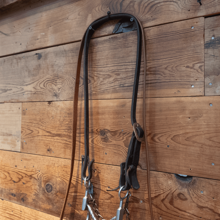Threaded Snaffle Bit Bridle Rig