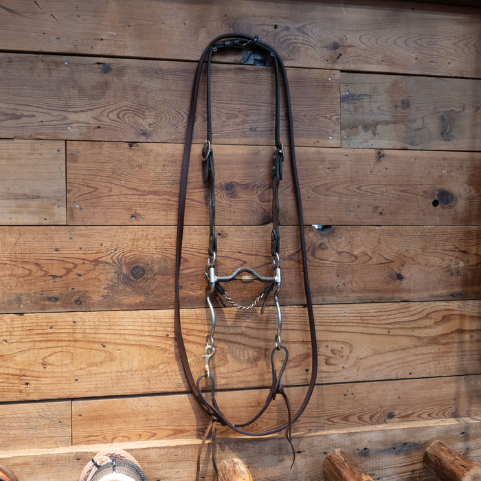 Reinsman Solid Port w/ Cricket Bit Bridle Rig