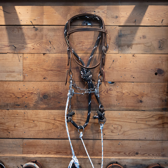 CHS Dog Bone Sliding Gag Rig w/Martingale Tack - Training Cow Horse Supply