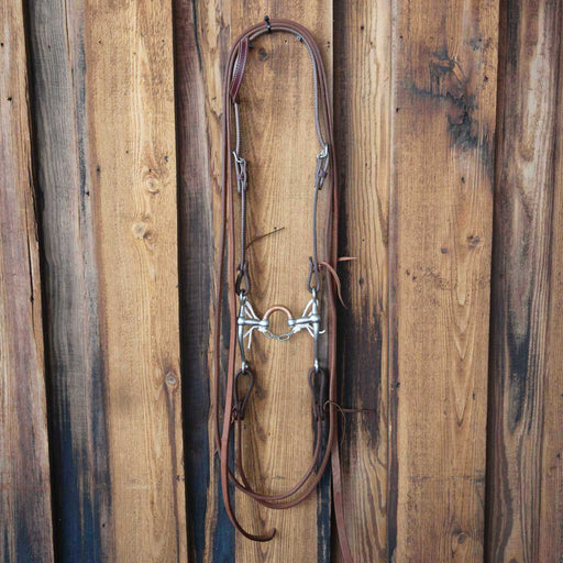 Correction w/ Copper Bridle Rig Sale Barn MISC