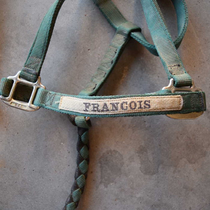 Used Halter With Lead Set Of 2 Sale Barn Teskeys