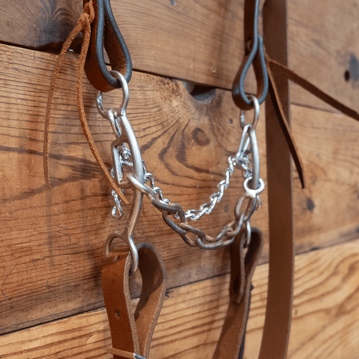 Classic Equine Chain Bit Bridle Rig