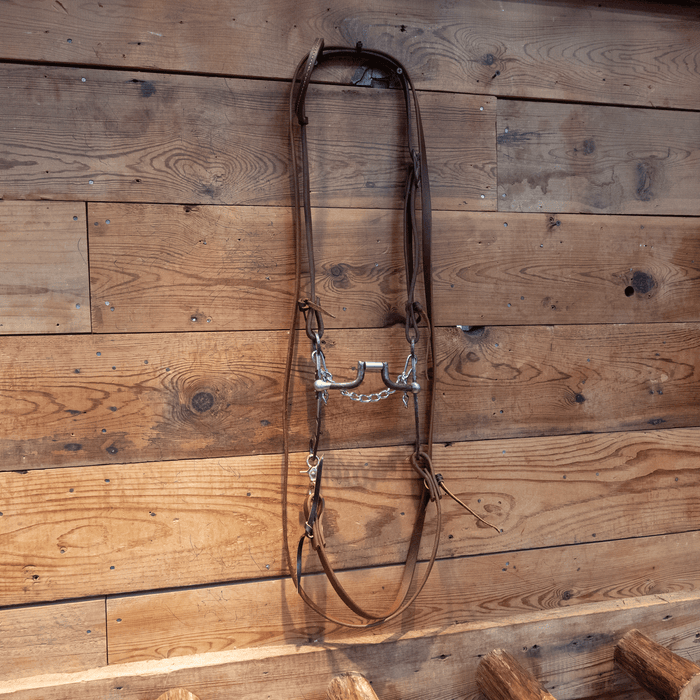 Hinge Port Bit Bridle Rig