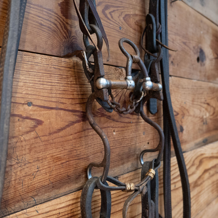 Kerry Kelley 02S Correction Bridle Rig