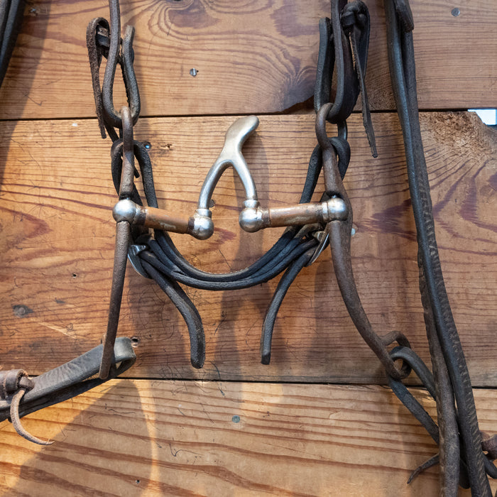 Kerry Kelley Cathedral Bridle Rig