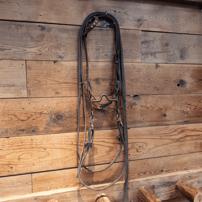 Solid Port Bit Bridle Rig