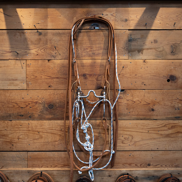 CHS Solid Port Bridle Rig w/Martingale Tack - Training Cow Horse Supply