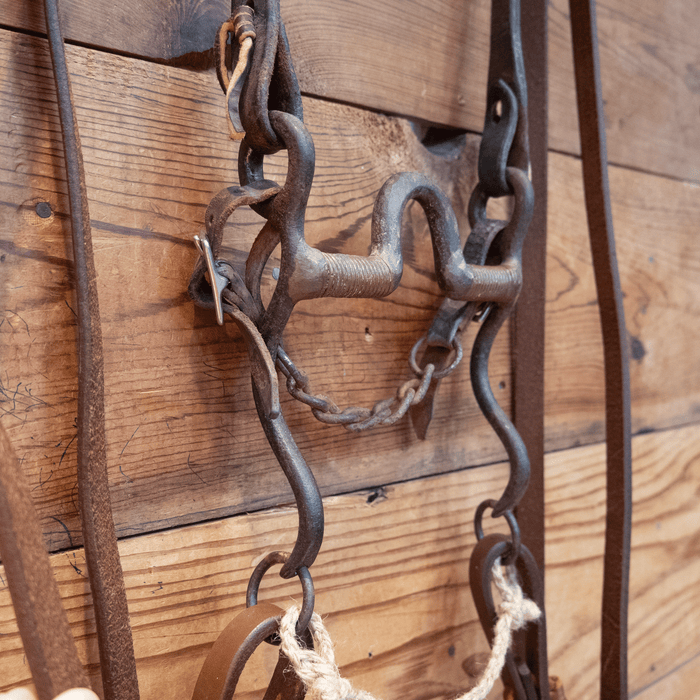 Port w/ Copper Wrapped Bars Bit Bridle Rig