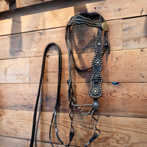 Vintage Brass Dots & Buttons Headstall w/a silver inlay bit Tack - Rigs MISC