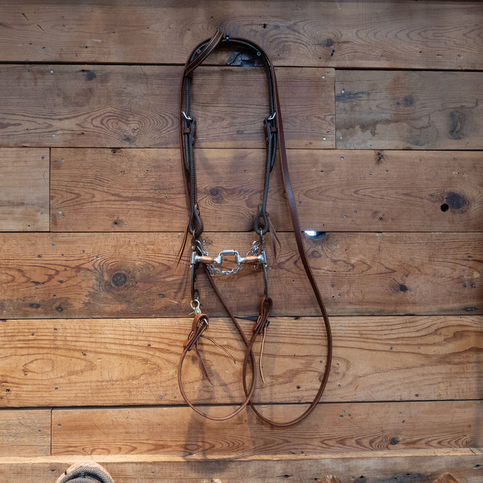 Hinge Port Correction Bit Bridle Rig