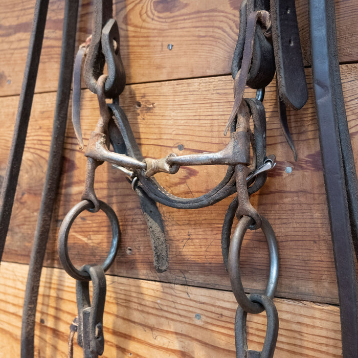 3 Piece Gag Globe Bit Bridle Rig