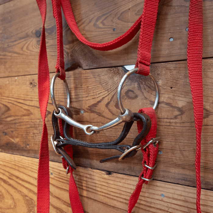 O-Ring Snaffle Bit Bridle Rig