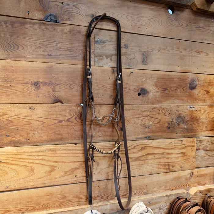 Morgan Ported Chain Single Ear Rig Tack - Rigs Morgan