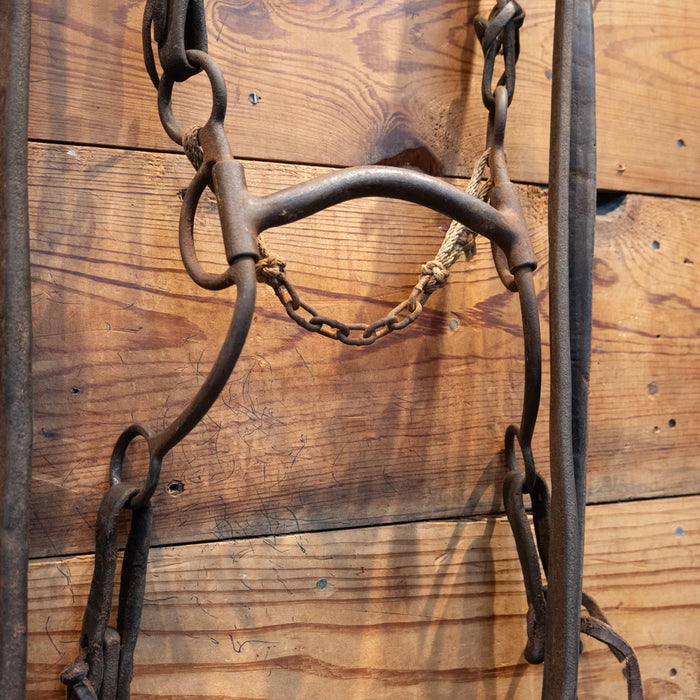 Eich Mullen Bridle Rig Tack - Rigs EICH