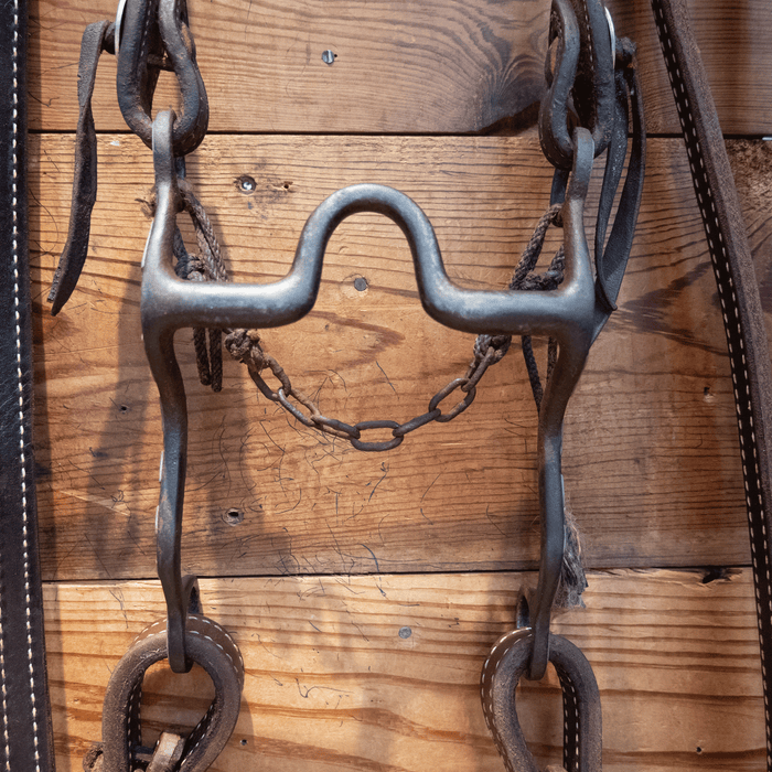 Andrews Silver Mounted Solid Port Bit Bridle Rig