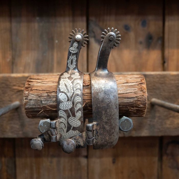 B/B Silver Mounted 16pt. Spurs Tack - Spurs B/B