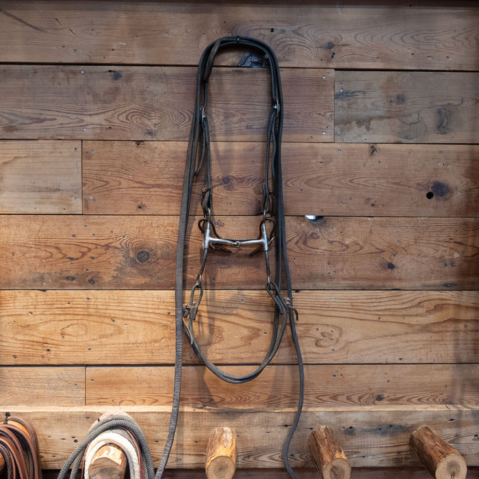 Greg Darnell Snaffle Bit Bridle Rig