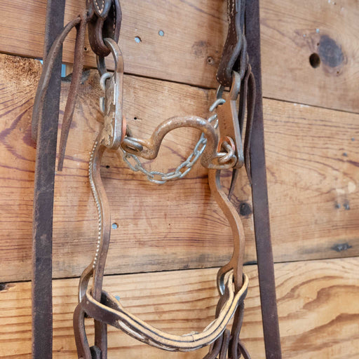 Morgan Ported Chain Single Ear Rig Tack - Rigs Morgan