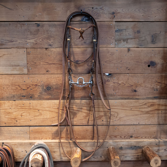 Correction Bit Bridle Rig
