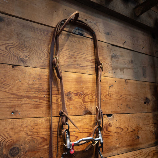 Toklat Myler Low Locking Hinge Bridle Rig Tack - Rigs Myler