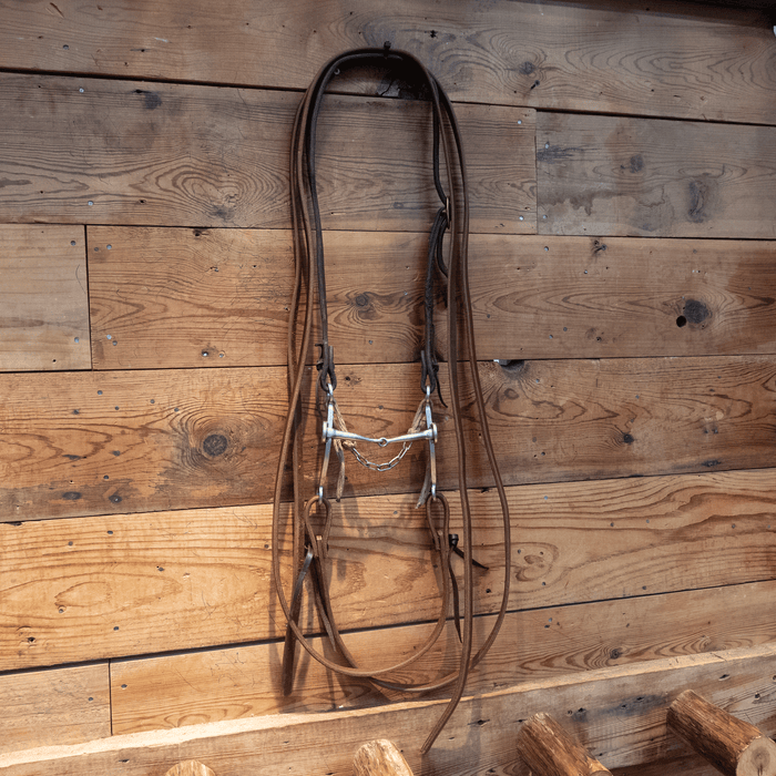 Sleister Snaffle Bit Bridle Rig