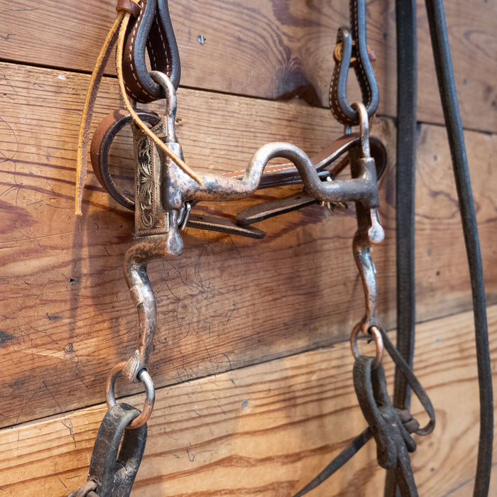 Solid Port Bit Bridle Rig