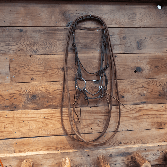 O-Ring Snaffle Bridle Rig