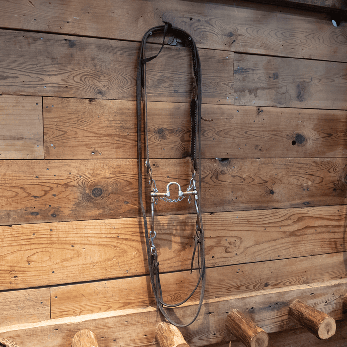 Kerry Kelley Correction Bit Bridle Rig