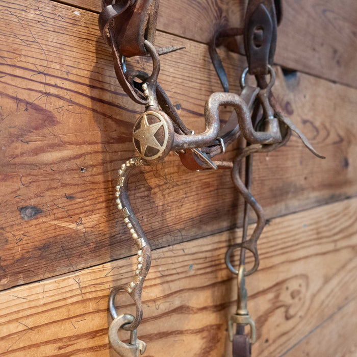 Square Port Bit Bridle Rig