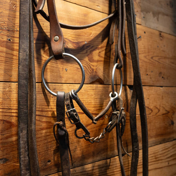 O-Ring Snaffle Bridle Rig