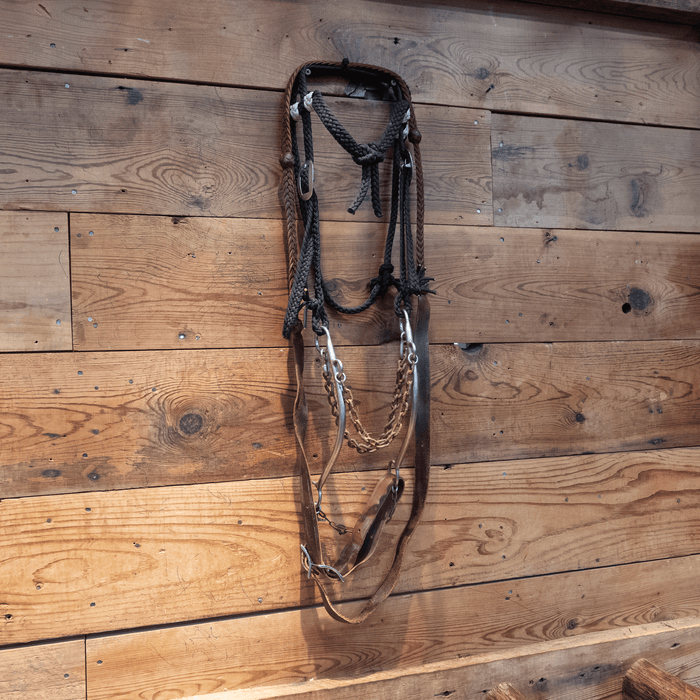 Wright Chain Bit Bridle Rig