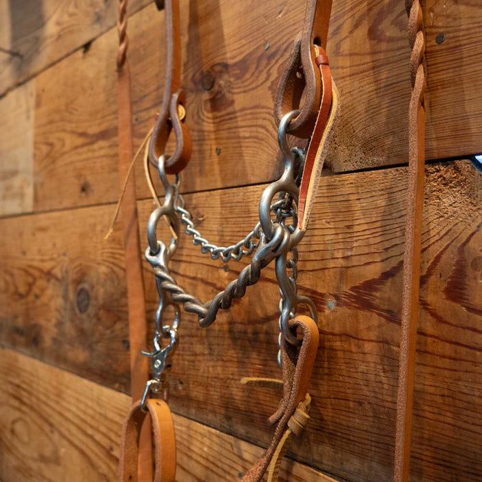 Reinsman Circle Gag Twisted Wire Snaffle Bridle Rig
