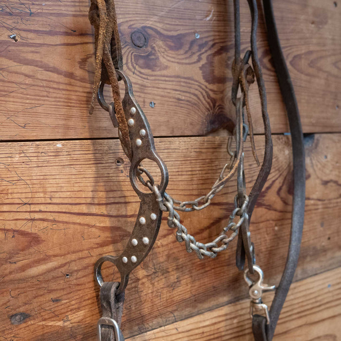 Petska Chain Gag Bit Bridle Rig