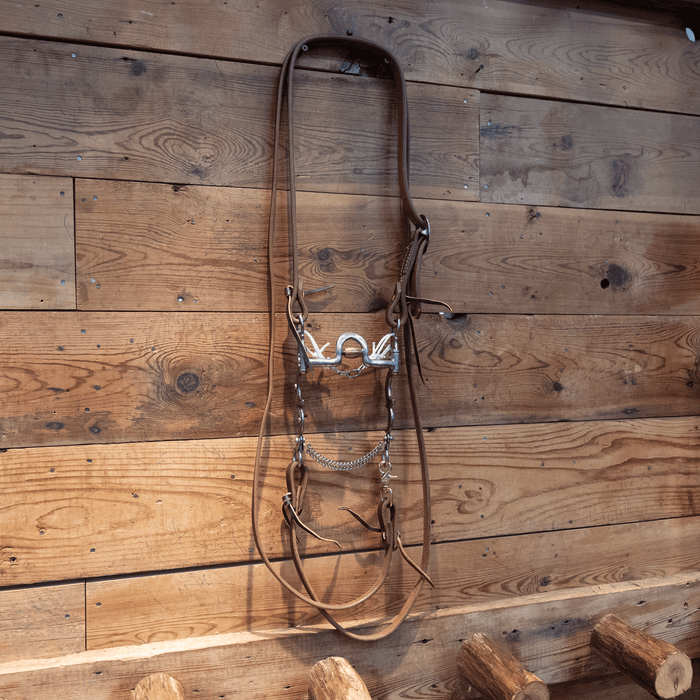 Classic Equine Gist Design Solid Port Bit Bridle Rig