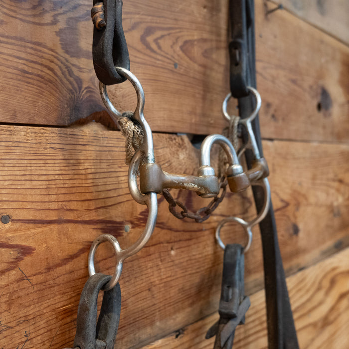 Correction w/ Brass Bars Bridle Rig