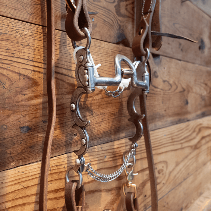 Classic Equine Gist Design Solid Port Bit Bridle Rig