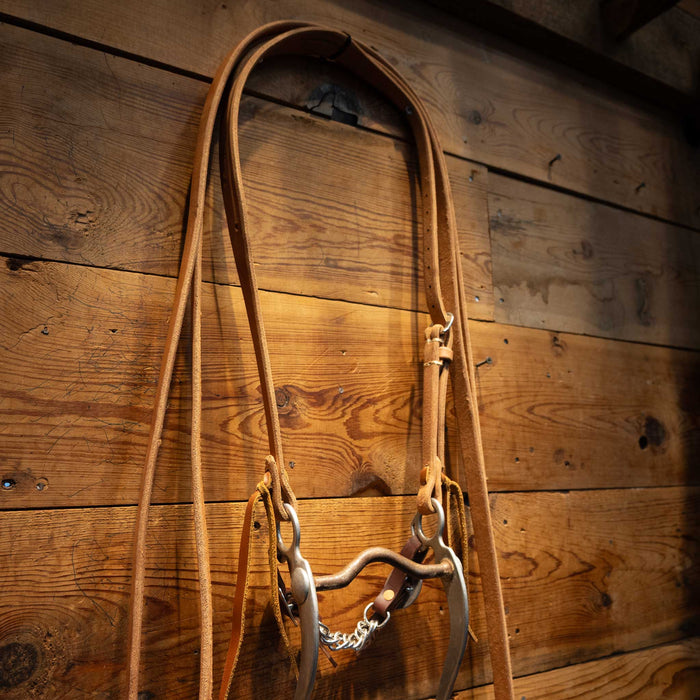 Walls Solid Port Grazing Bridle Rig Tack - Rigs Walls
