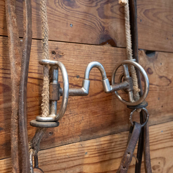 Draw Gag Correction Bit Bridle Rig