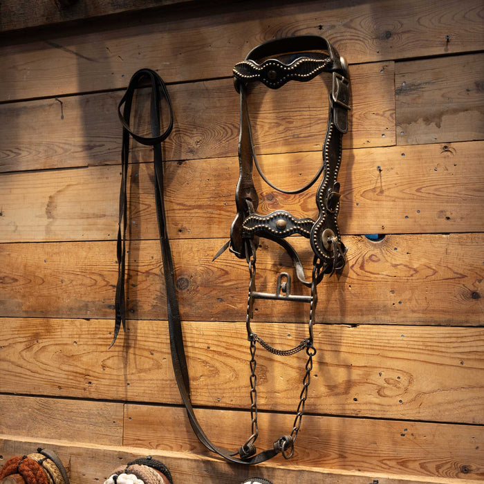 1940's Beurman Bit w/ Vintage Dotted Bridle Rig Tack - Rigs Buerman