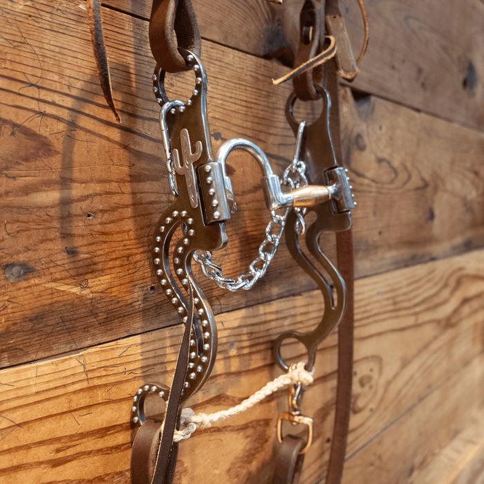 Correction w/ Copper Bars Bit Bridle Rig