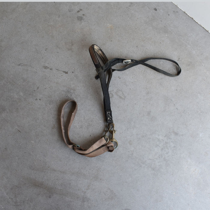 Used Noseband With Tie Down Sale Barn Teskey's