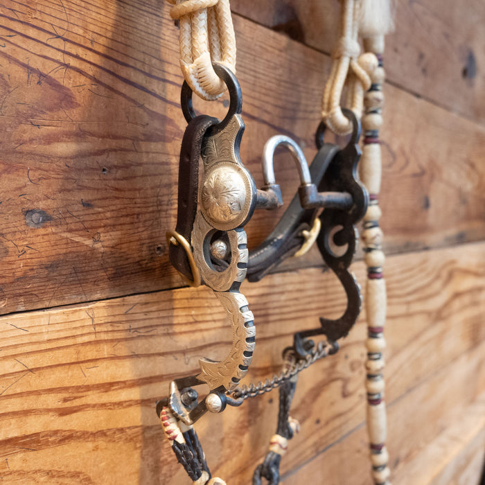 Correction Bridle Rig with Romel Reins