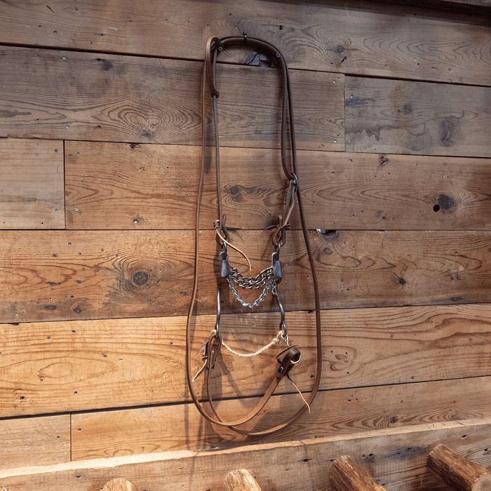 Double Chain Bit Bridle Rig