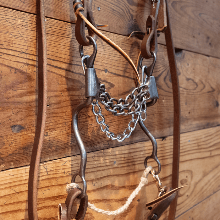 Double Chain Bit Bridle Rig