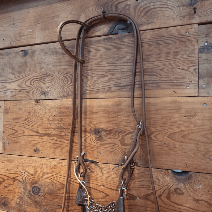 Double Chain Bit Bridle Rig