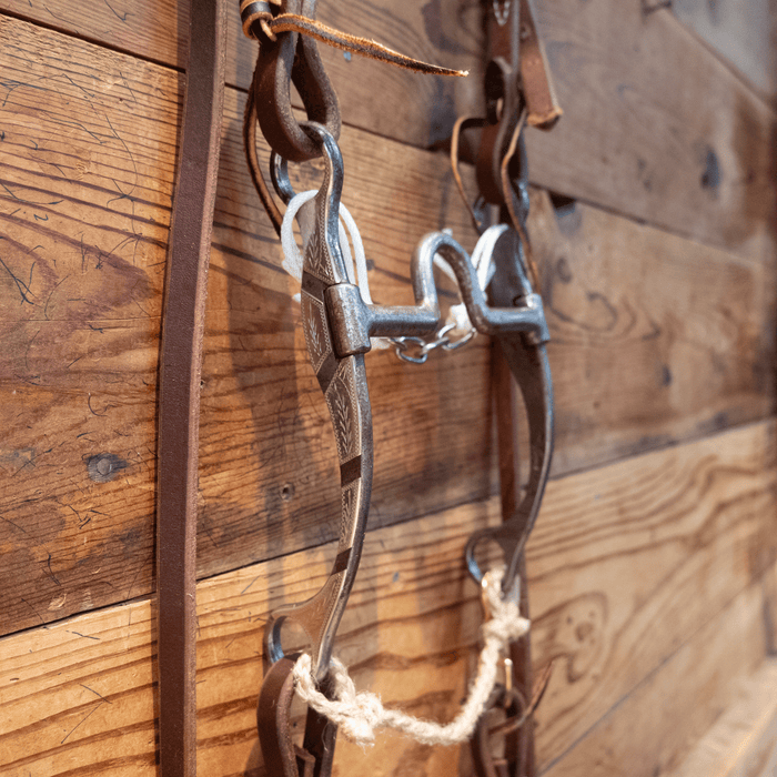 Josh Ownbey Cowboy Line Port Bit Bridle Rig