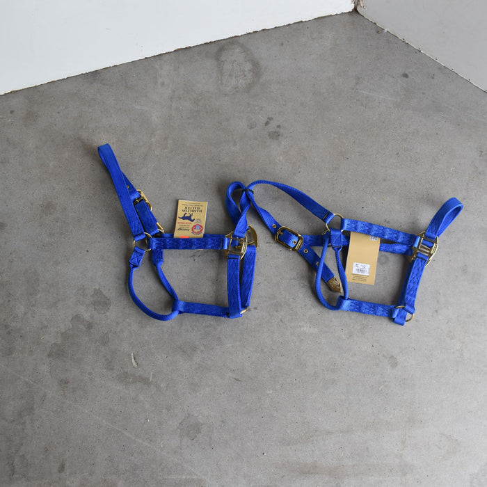 NEW Hamilton Average Halters Set Of 2 Sale Barn Teskey's