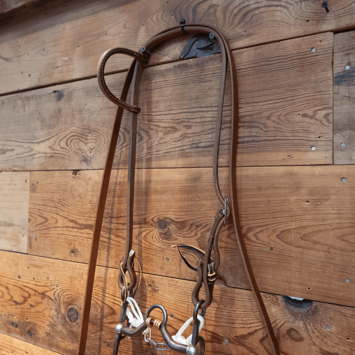 Kerry Kelley Correction Bit Bridle Rig